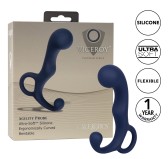 Stimulateur de prostate Agility Probe Viceroy 9 x 3cm