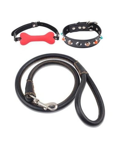 Kit Dog Training Laisse Collier et Baillon Os