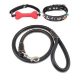 Kit Dog Training Laisse Collier et Baillon Os