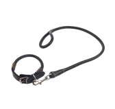 Kit Dog Training Laisse Collier et Baillon Os